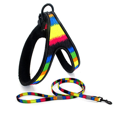 Colorful Dog Leash – Strong Rope for Small & Medium Dogs
