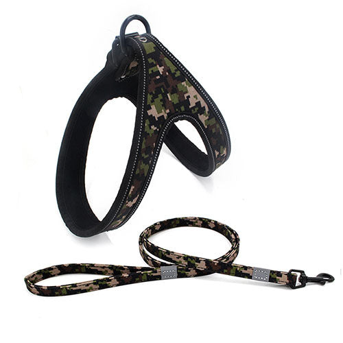 Colorful Dog Leash – Strong Rope for Small & Medium Dogs