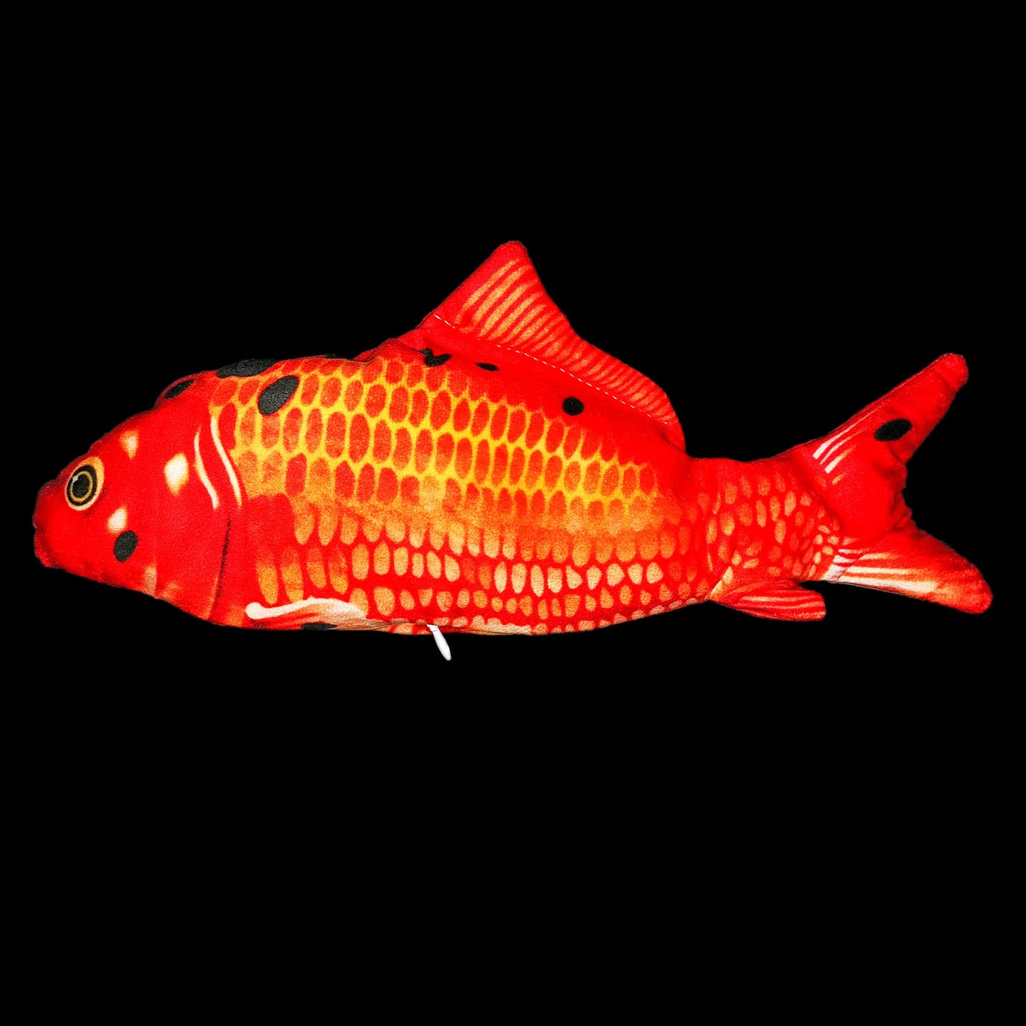 Electric Flopping Fish Toy β Realistic Jumping Pet Toy (No Catnip) πβ¨