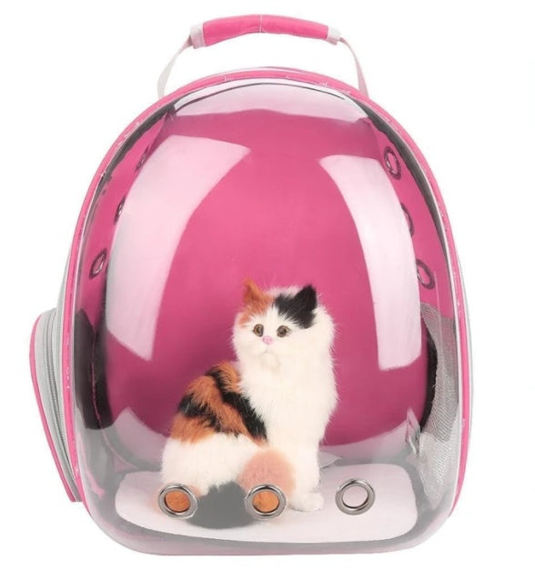Transparent Pet Backpack – Space Capsule Carrier for Cats & Small Dogs