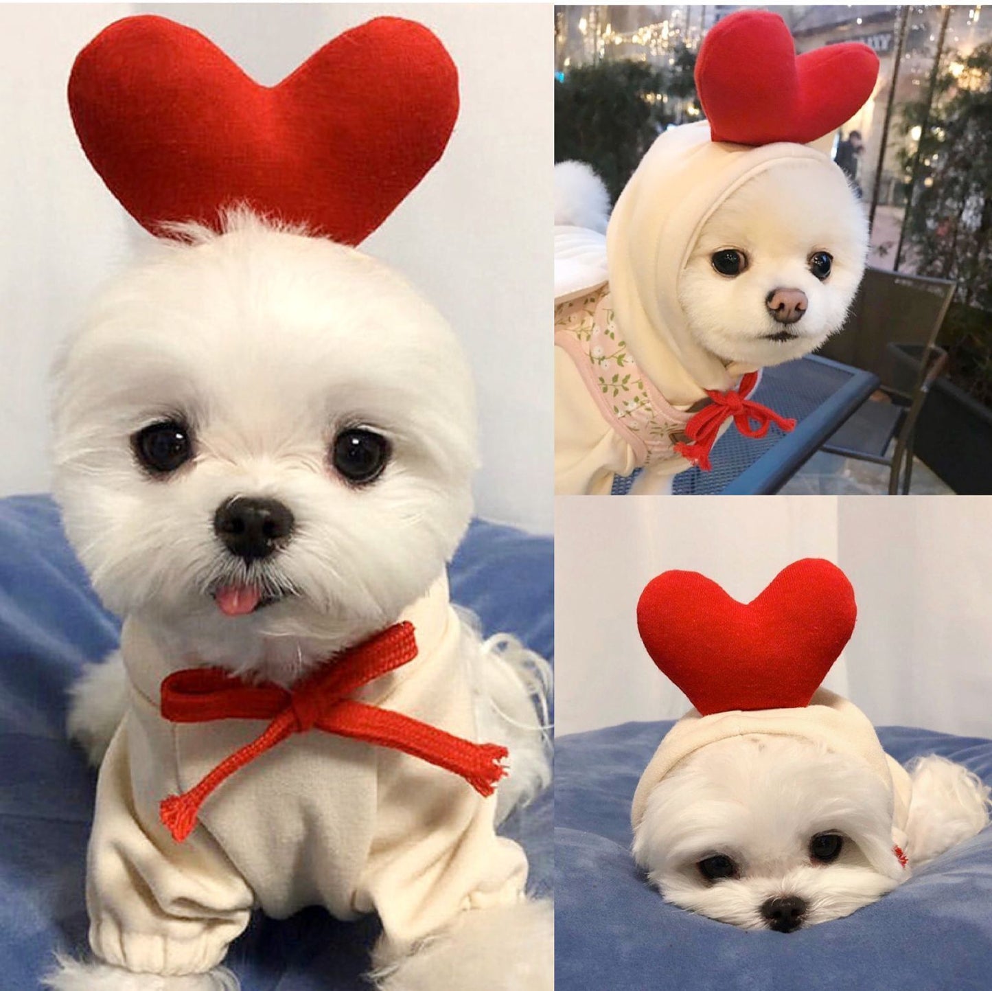 Cute Fruit Dog Hoodie – Warm Fleece Outfit for Small Dogs & Cats 🍓🍊🐾