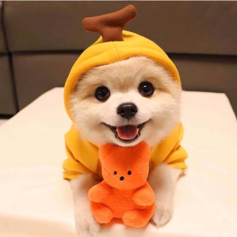 Cute Fruit Dog Hoodie – Warm Fleece Outfit for Small Dogs & Cats 🍓🍊🐾