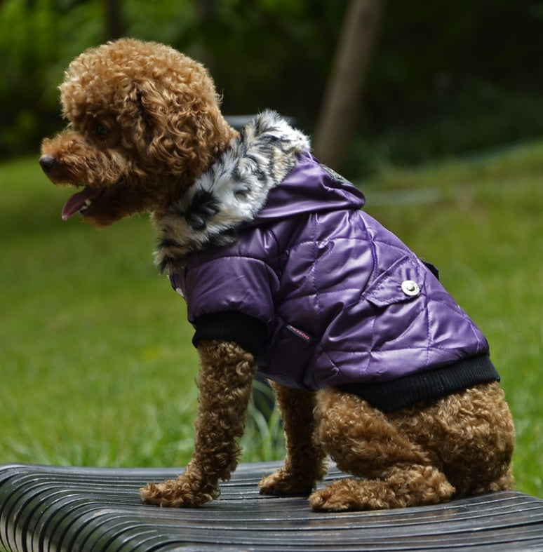 Winter Dog Coat – Warm Pet Jacket with Fur Collar 🐾❄️