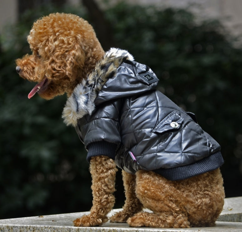 Winter Dog Coat – Warm Pet Jacket with Fur Collar 🐾❄️