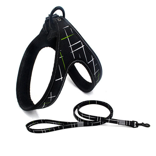 Colorful Dog Leash – Strong Rope for Small & Medium Dogs