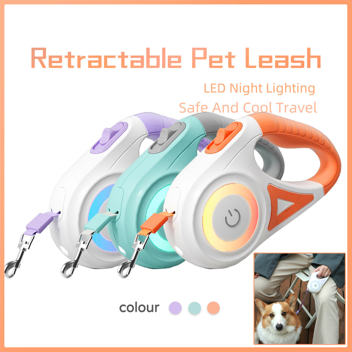 Retractable Dog Leash with Collar Set – 3m / 5m | Strong & Tangle-Free