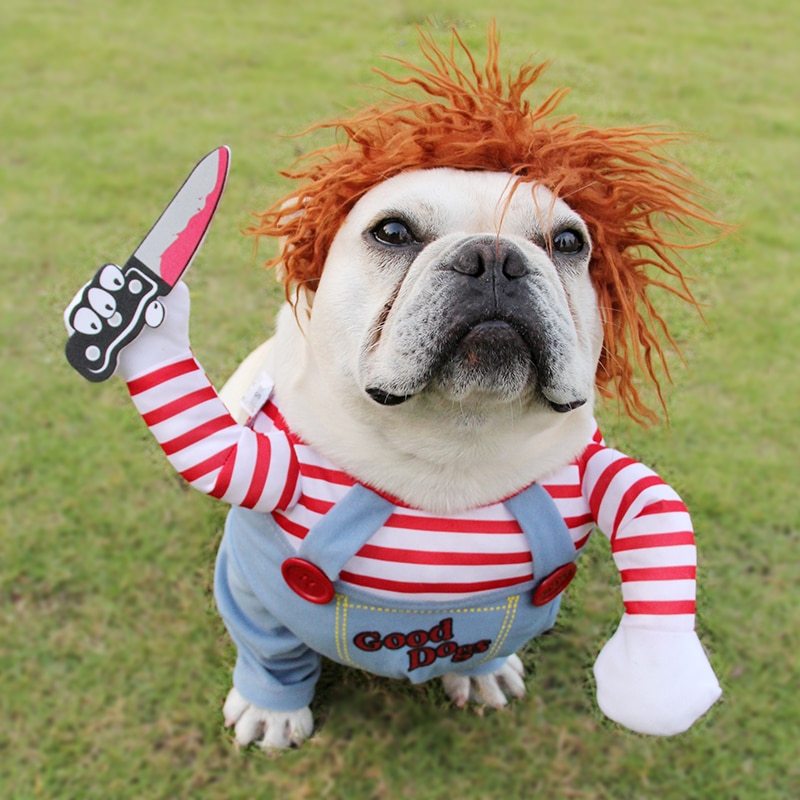Halloween Pet Costume ā Funny Dog Outfit for Parties & Cosplay šš¾