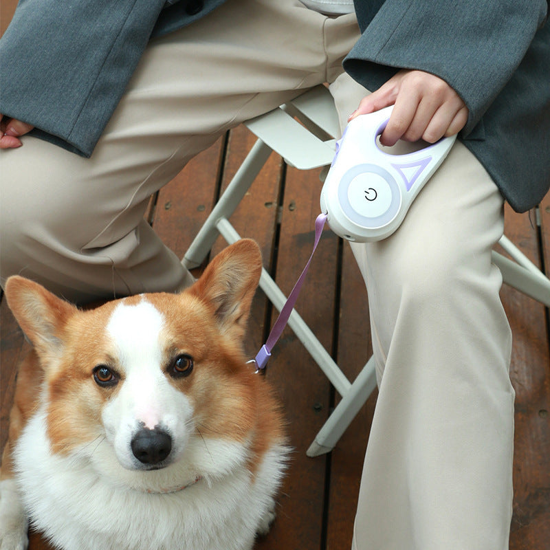 Retractable Dog Leash with Collar Set – 3m / 5m | Strong & Tangle-Free