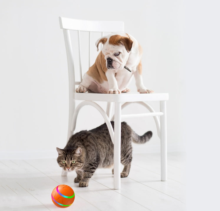 Interactive Cat Toy Ball – USB Rechargeable Self-Rotating Smart Ball