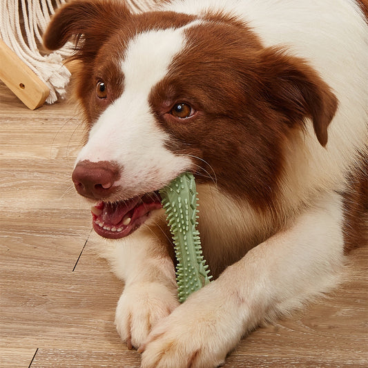 Dog Chew Toy – Teeth Cleaning & Dental Care