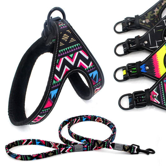 Colorful Dog Leash – Strong Rope for Small & Medium Dogs