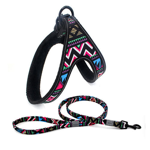 Colorful Dog Leash – Strong Rope for Small & Medium Dogs