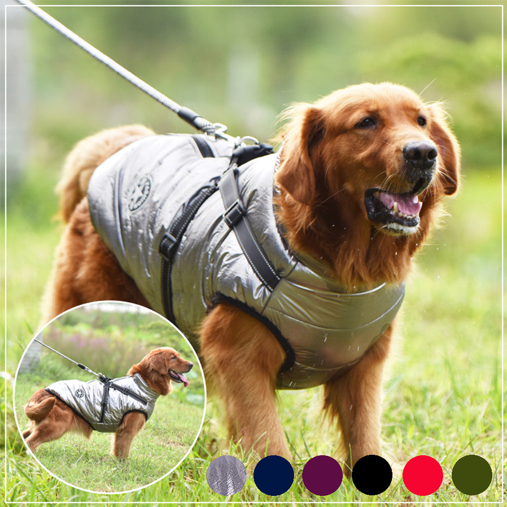 Waterproof Winter Dog Coat – Warm Jacket with Harness for Small & Large Dogs 🐶❄️