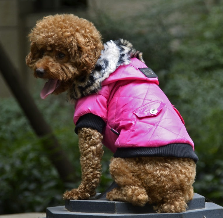 Winter Dog Coat – Warm Pet Jacket with Fur Collar 🐾❄️