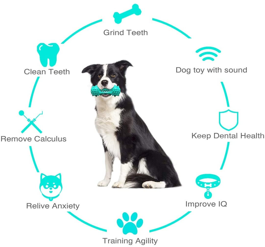 Dog Chew Toy – Durable Rubber Molar Stick for Teeth Cleaning 🐶🦷