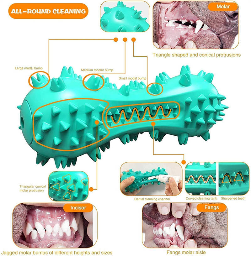 Dog Chew Toy – Durable Rubber Molar Stick for Teeth Cleaning 🐶🦷