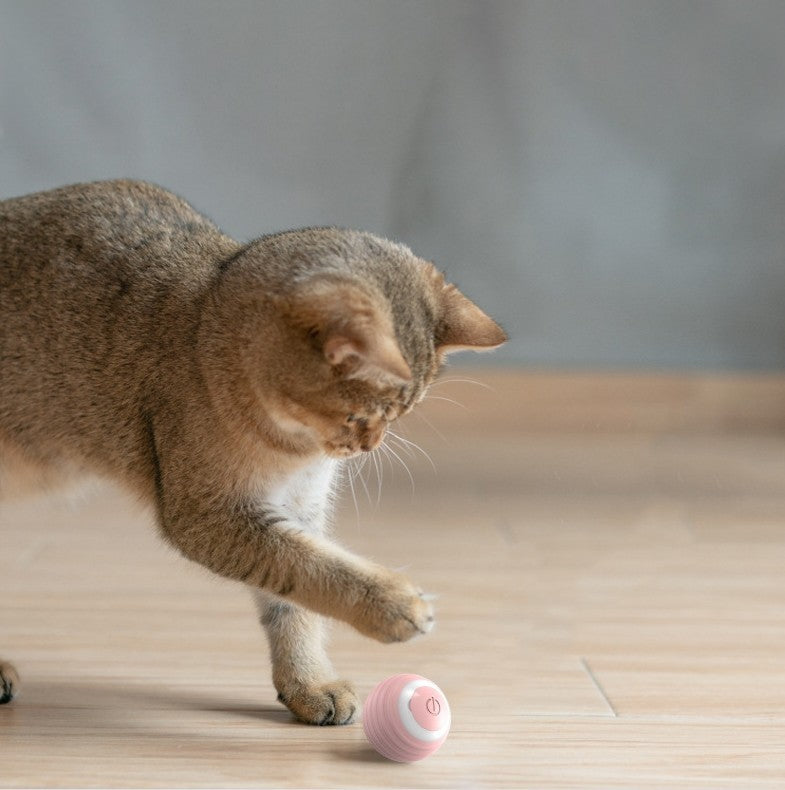 Automatic Cat Toy Ball – Self-Moving Bouncing Ball for Indoor Kittens 🐾⚽