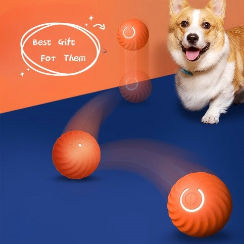 Durable Rubber Dog Ball – Bite-Resistant Chew & Training Toy