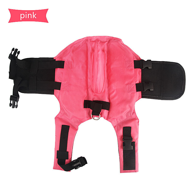 Dog Life Jacket – Summer Shark Style Pet Vest 🦈🐾