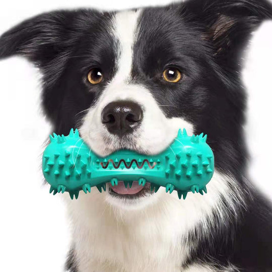 Dog Chew Toy – Durable Rubber Molar Stick for Teeth Cleaning 🐶🦷