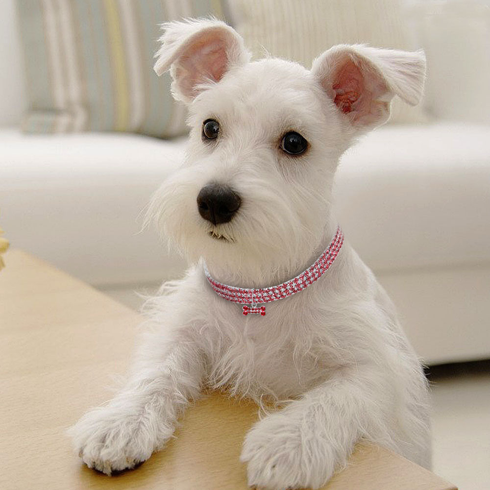 Rhinestone Bling Dog Collar & Leash – Crystal Sparkle for Small Pets