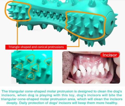Dog Chew Toy – Durable Rubber Molar Stick for Teeth Cleaning 🐶🦷