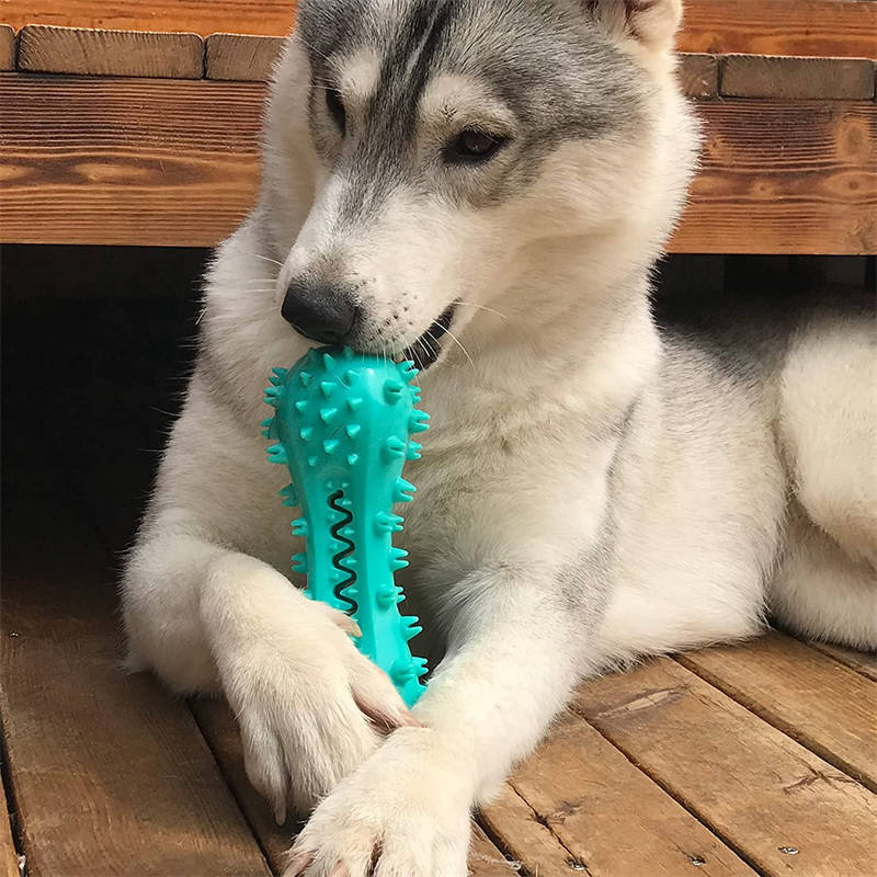 Dog Chew Toy – Durable Rubber Molar Stick for Teeth Cleaning 🐶🦷